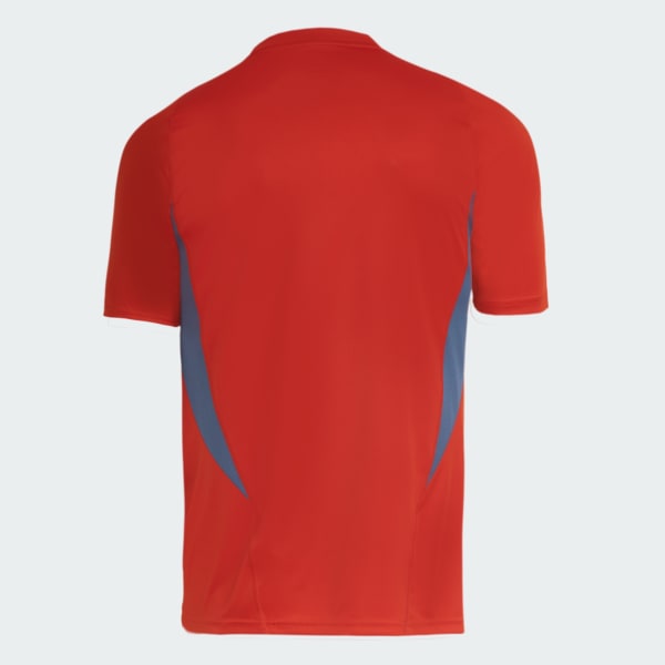 Camisa Cruzeiro Treino 24/25 Adidas Masculina Torcedor