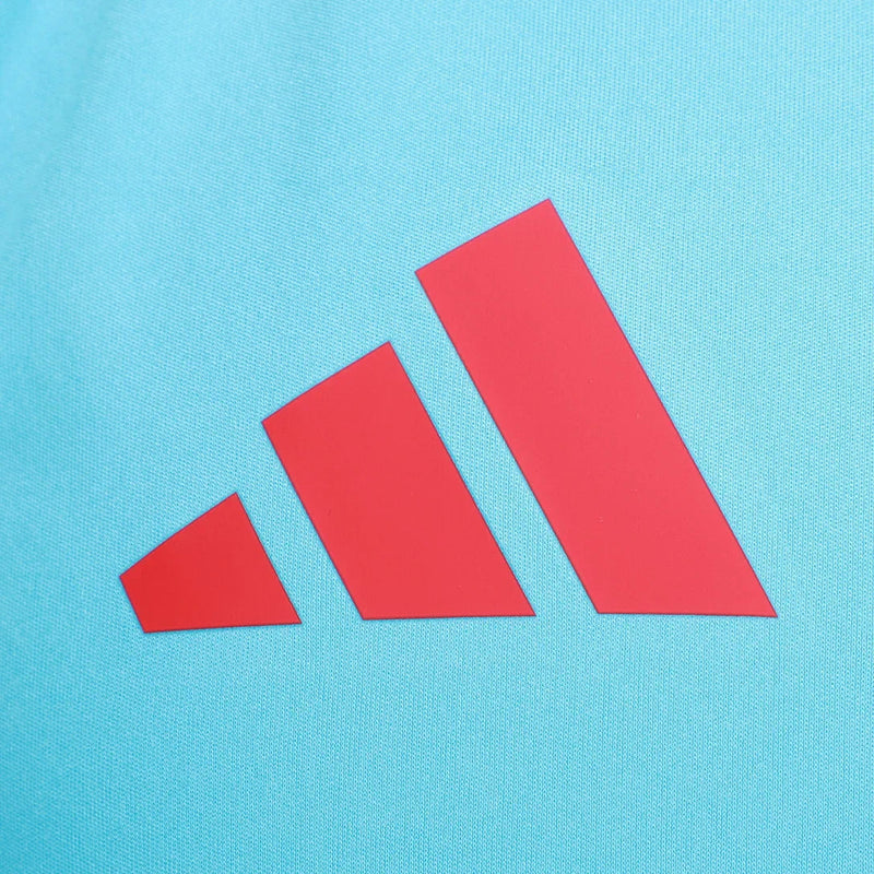 Camisa Flamengo Regata Treino 25/26 Azul e Vermelho